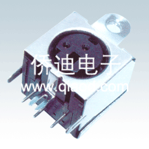 DS-307